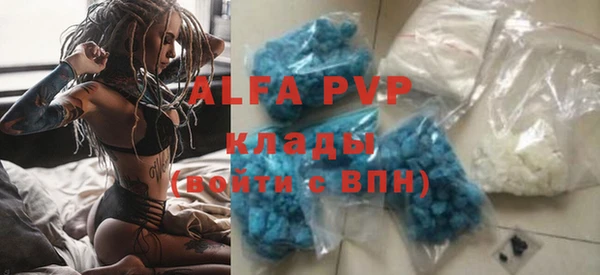 стаф Богданович