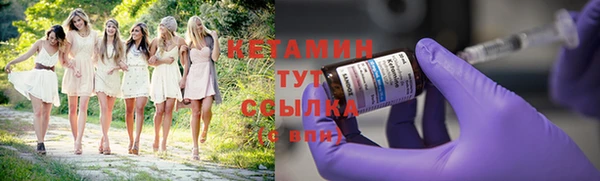 стаф Богданович