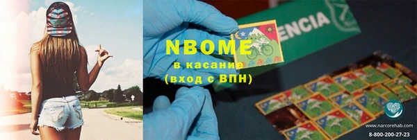 стаф Богданович