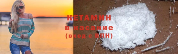 стаф Богданович
