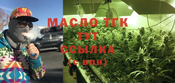 дмт Богородск