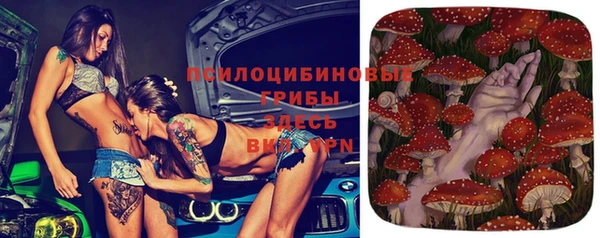 дмт Богородск