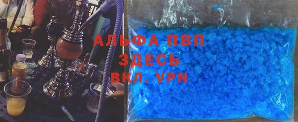 стаф Богданович