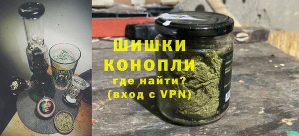 стаф Богданович